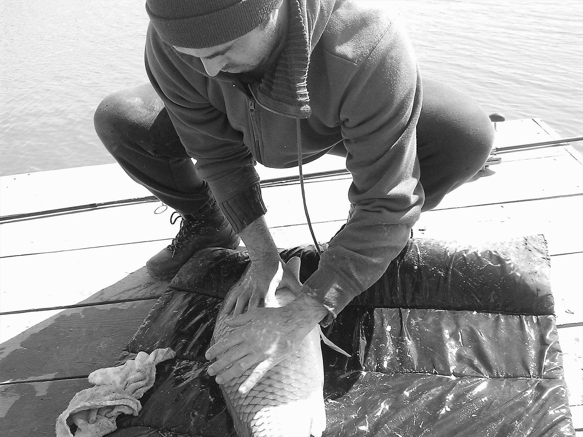 Fa-i poza daca poti... - wp201303230461.jpg